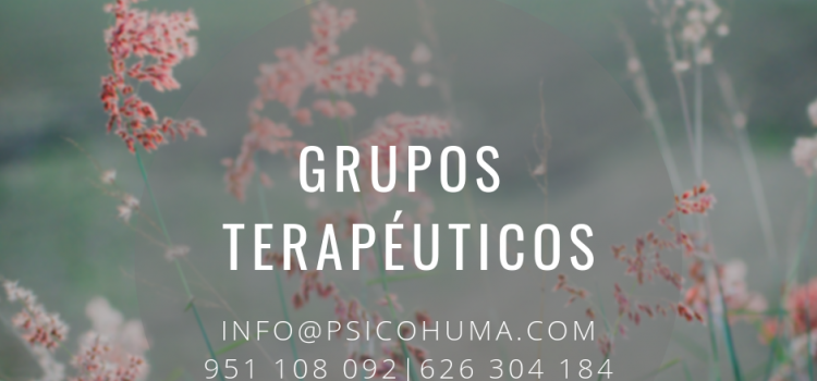 Grupos terapéuticos